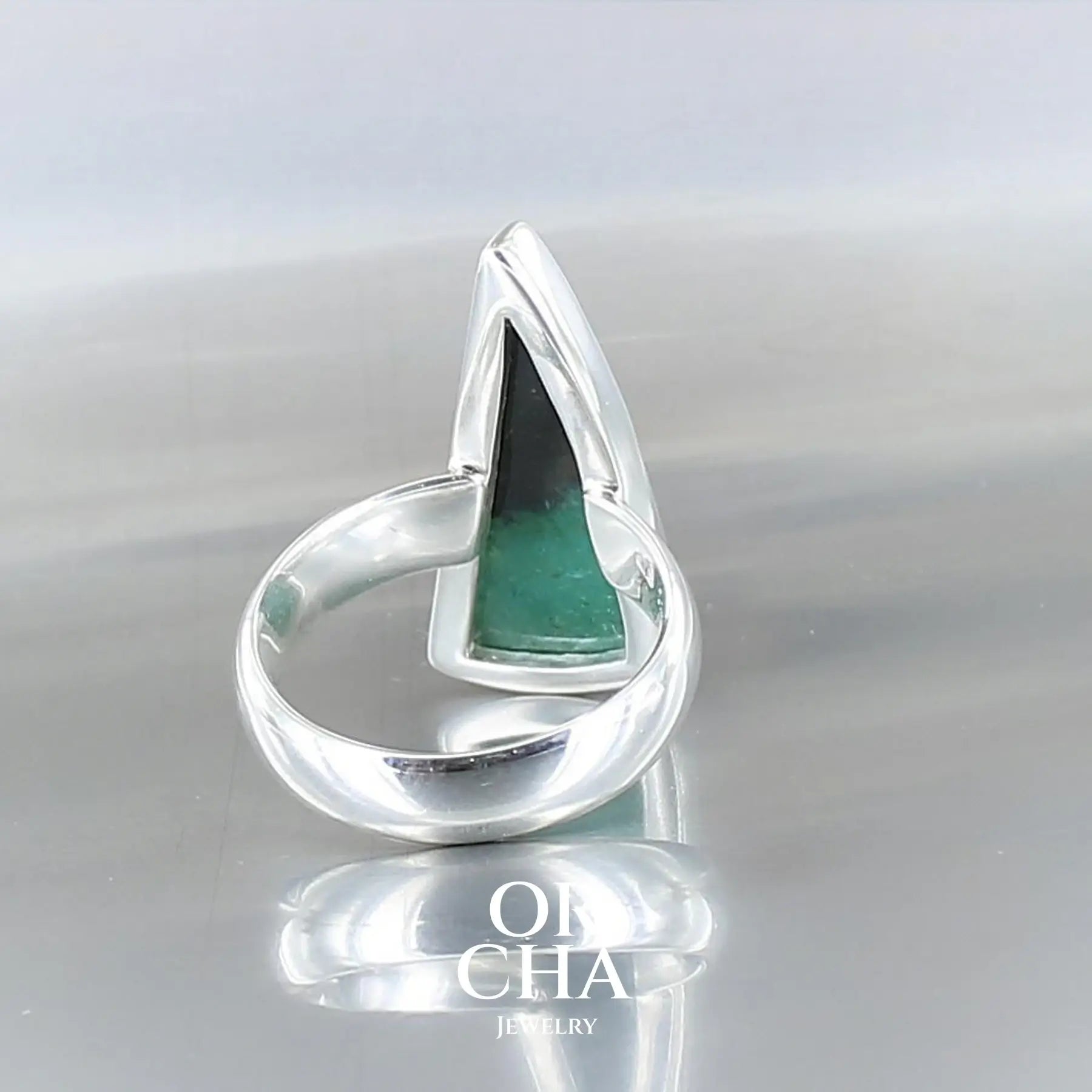 Bague en argent avec Bois Pétrifié - Essential
