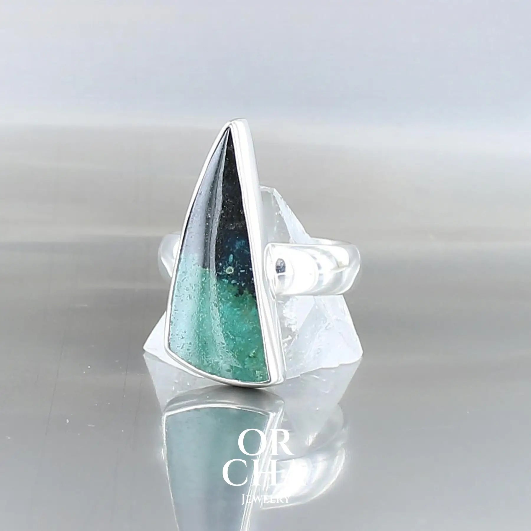 Bague en argent avec Bois Pétrifié - Essential