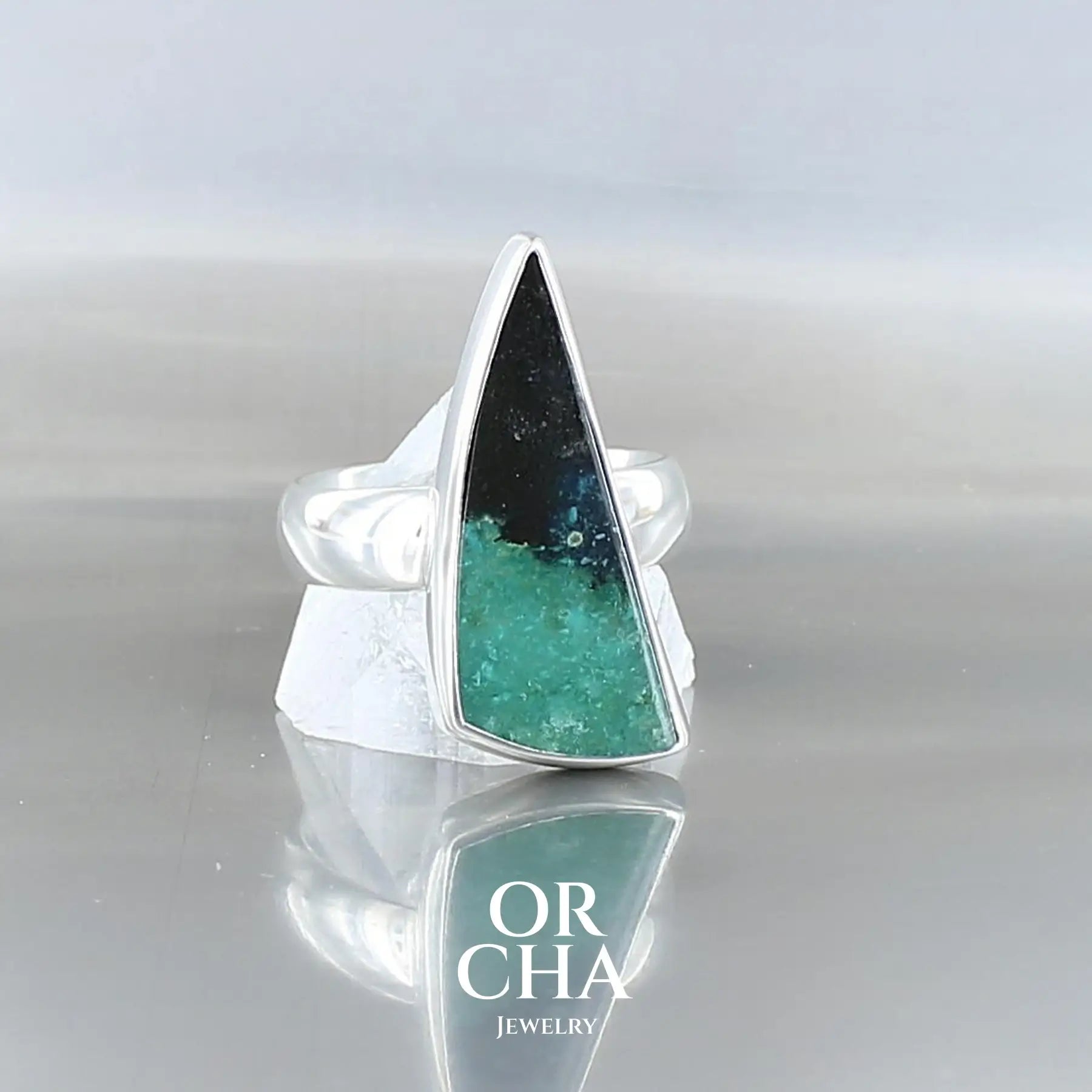 Bague en argent avec Bois Pétrifié - Essential