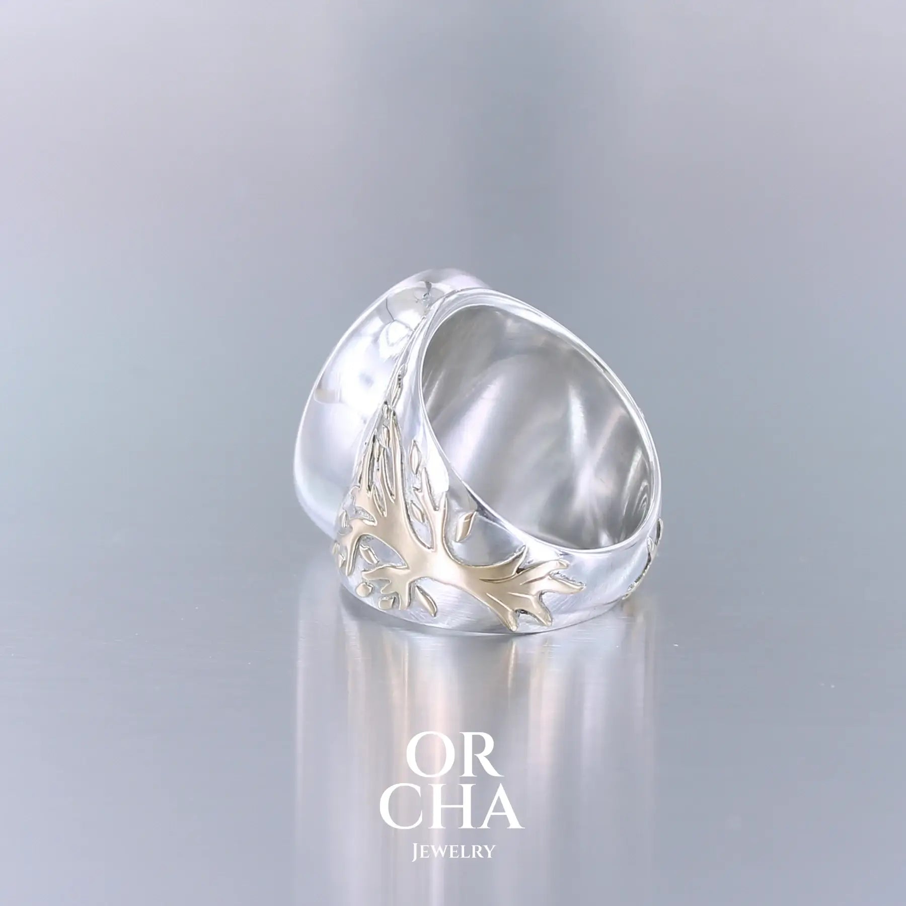 Bague pour homme avec Moldavite - Arbre de vie- Sauvage
